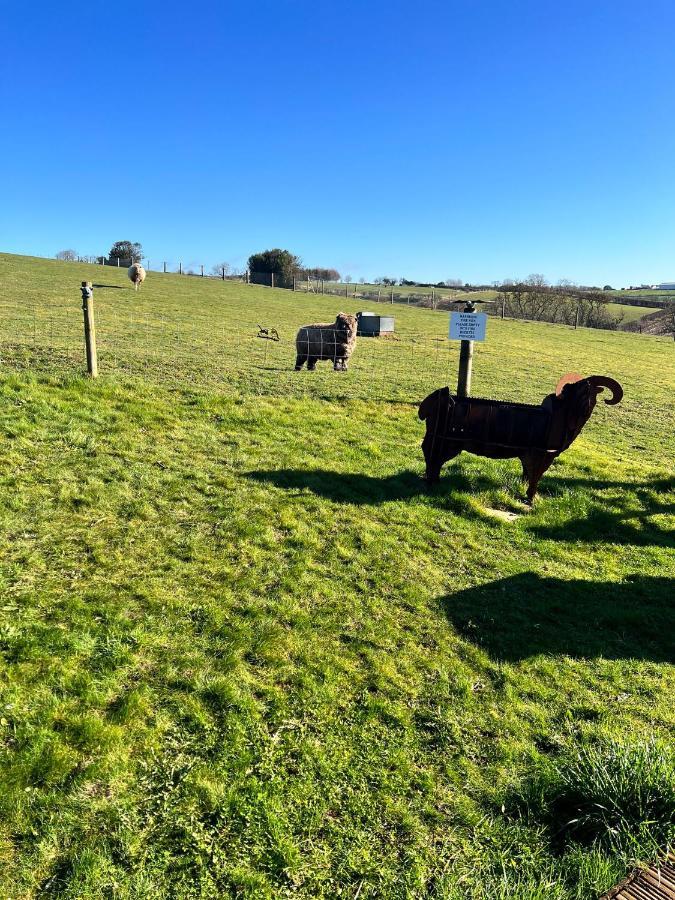 King Richard'S Luxury Lodge - Sleeps Up To 8 ,Dog Friendly ,Near Sherwood Forest At Fairview Farm In Nottingham Set In 88 Acres And Great For Groups,Family Gatherings,Corporate Events מראה חיצוני תמונה